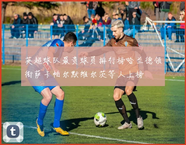 英超球队最贵球员排行榜哈兰德领衔萨卡帕尔默维尔茨等人上榜